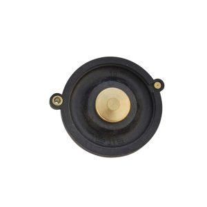 MEMBRANA SIRAI PARA AGUA 1/2" (L182 B - L180 B31) (2844302R)