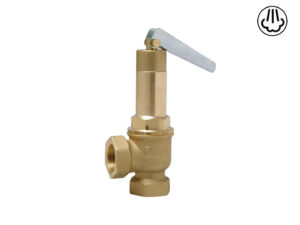 EXHAUST SAFETY VALVE WITH LEVER