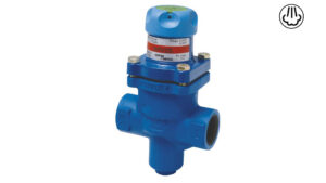 SPIRAX REDUCTEUR DE PRESSION VAPEUR BRV2S