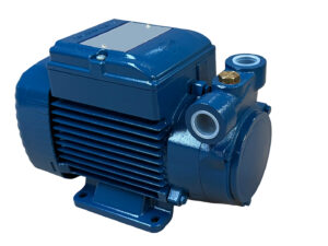 ELECTROPOMPE PEDROLLO PQm 81-PRO 230V Kw. 0,45 Hp. 0,60  1/2" - 1/2"