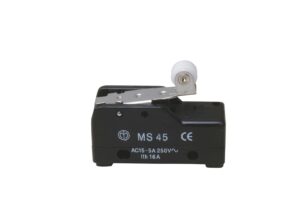 MICROINTERRUTTORE MS45